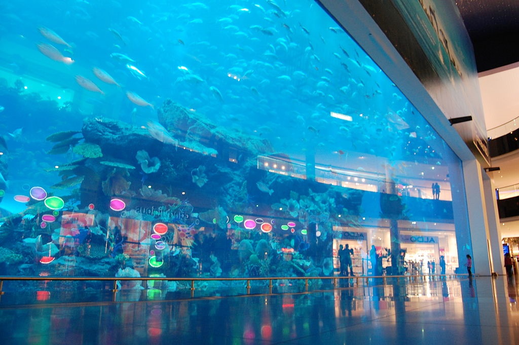 Dubai Mall 4